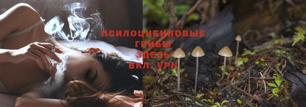 дживик Нефтегорск